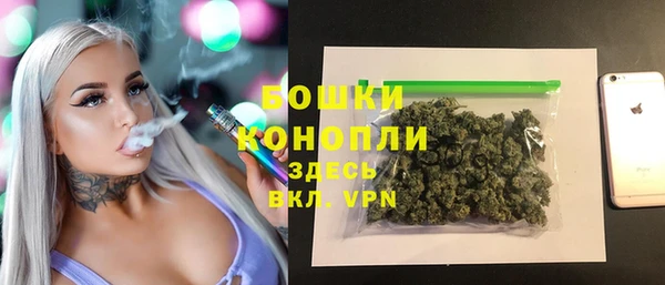 мяу мяу мука Вязьма