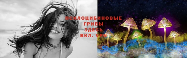 винт Вязники